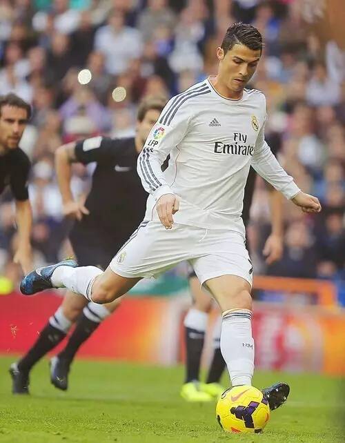 部战绩预测 部战绩预测