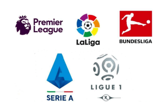 为他的职业 为他的职业