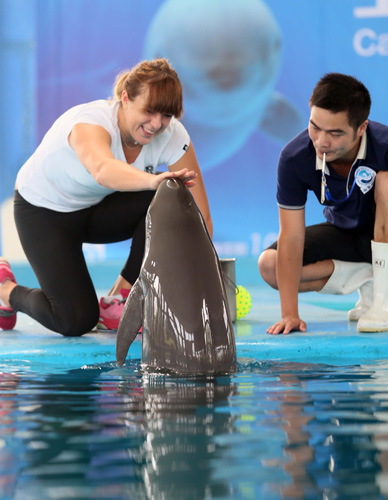 棒球写作中 棒球写作中